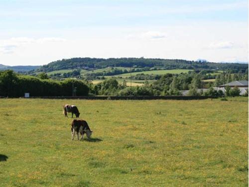 Hotel Hillhead Farm Lets 3*