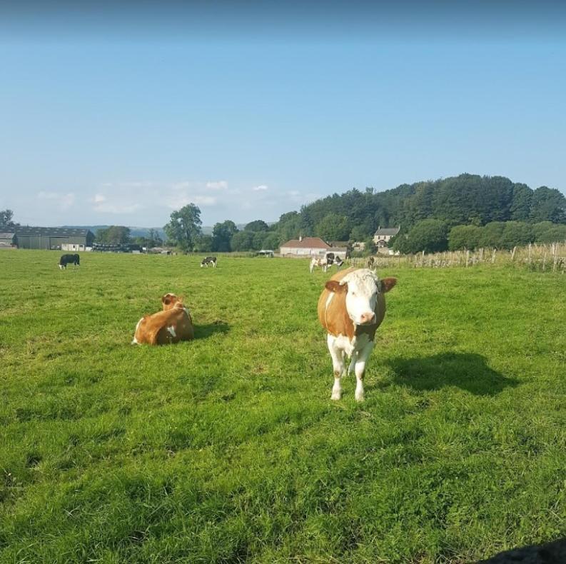 Hillhead Farm Lets Hotel 3*